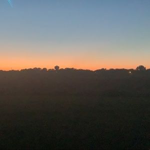 Meet your Posher, Lucy